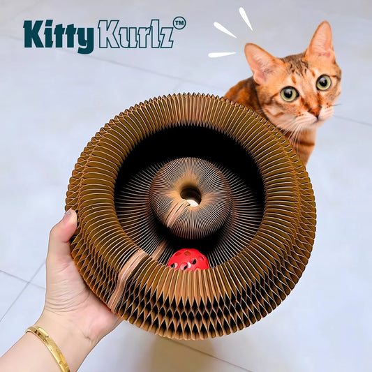 Purr360™ - Interactive Scratch & Play Hub