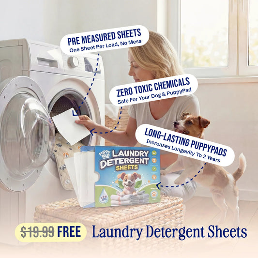 EverPaw™ - The Last Pee Pad You'll Get