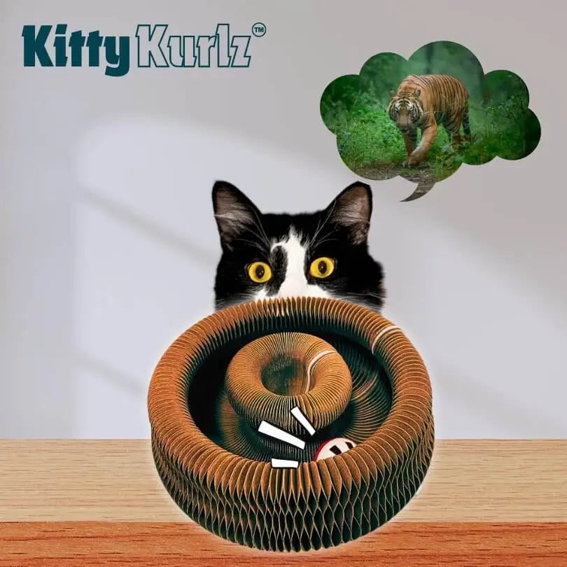 Purr360™ - Interactive Scratch & Play Hub