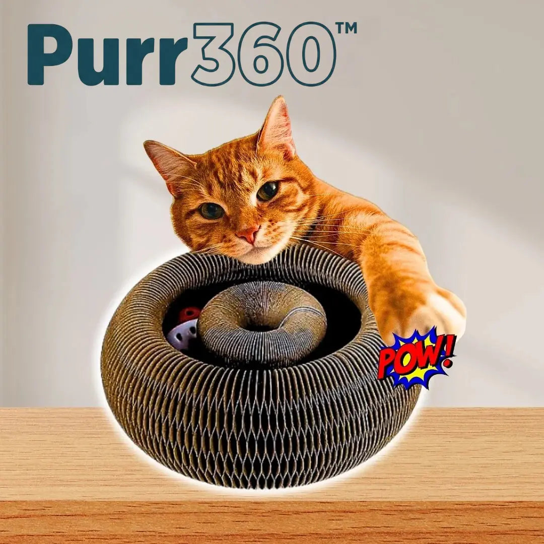 Purr360™ - Interactive Scratch & Play Hub