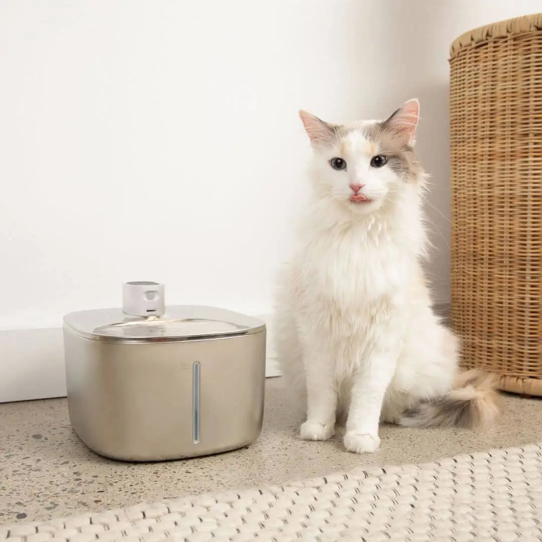 HealthyPaws™ - PureFlow Wireless Fountain