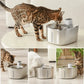 HealthyPaws™ - PureFlow Wireless Fountain