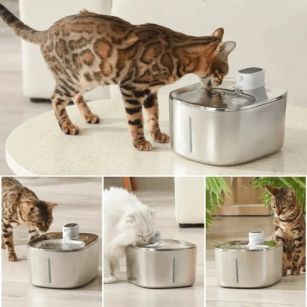 HealthyPaws™ - PureFlow Wireless Fountain