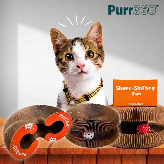 Purr360™ - Interactive Scratch & Play Hub