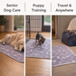 EverPaw™ - The Last Pee Pad You'll Get