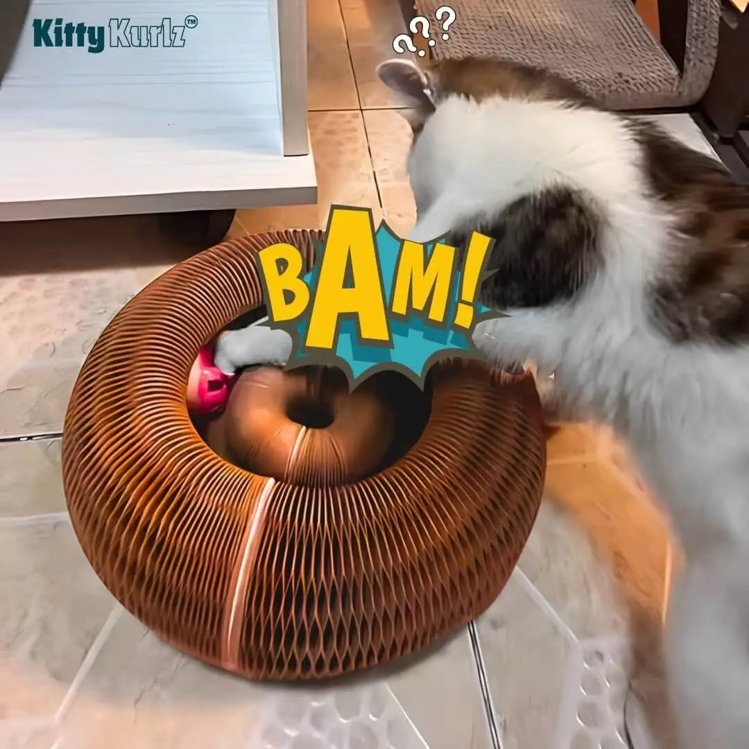 Purr360™ - Interactive Scratch & Play Hub