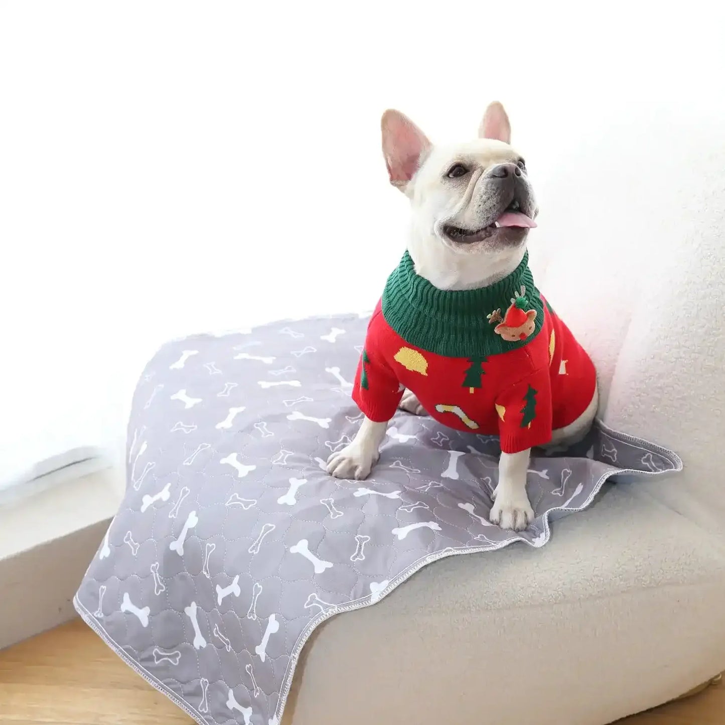 EverPaw™ - The Last Pee Pad You'll Get