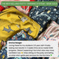Calmer™ - Potty Training Underwear