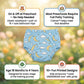 Calmer™ - Potty Training Underwear