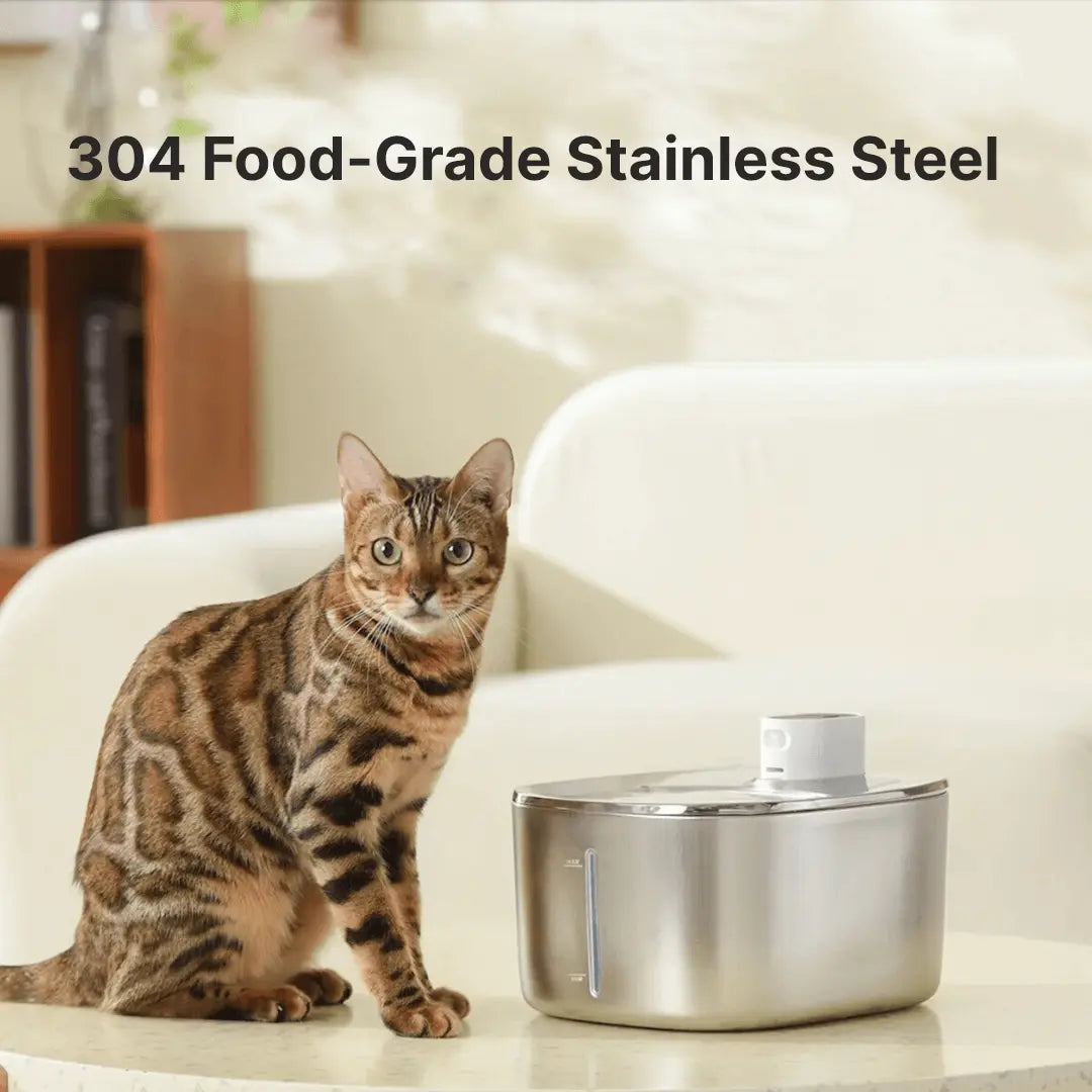 HealthyPaws™ - PureFlow Wireless Fountain