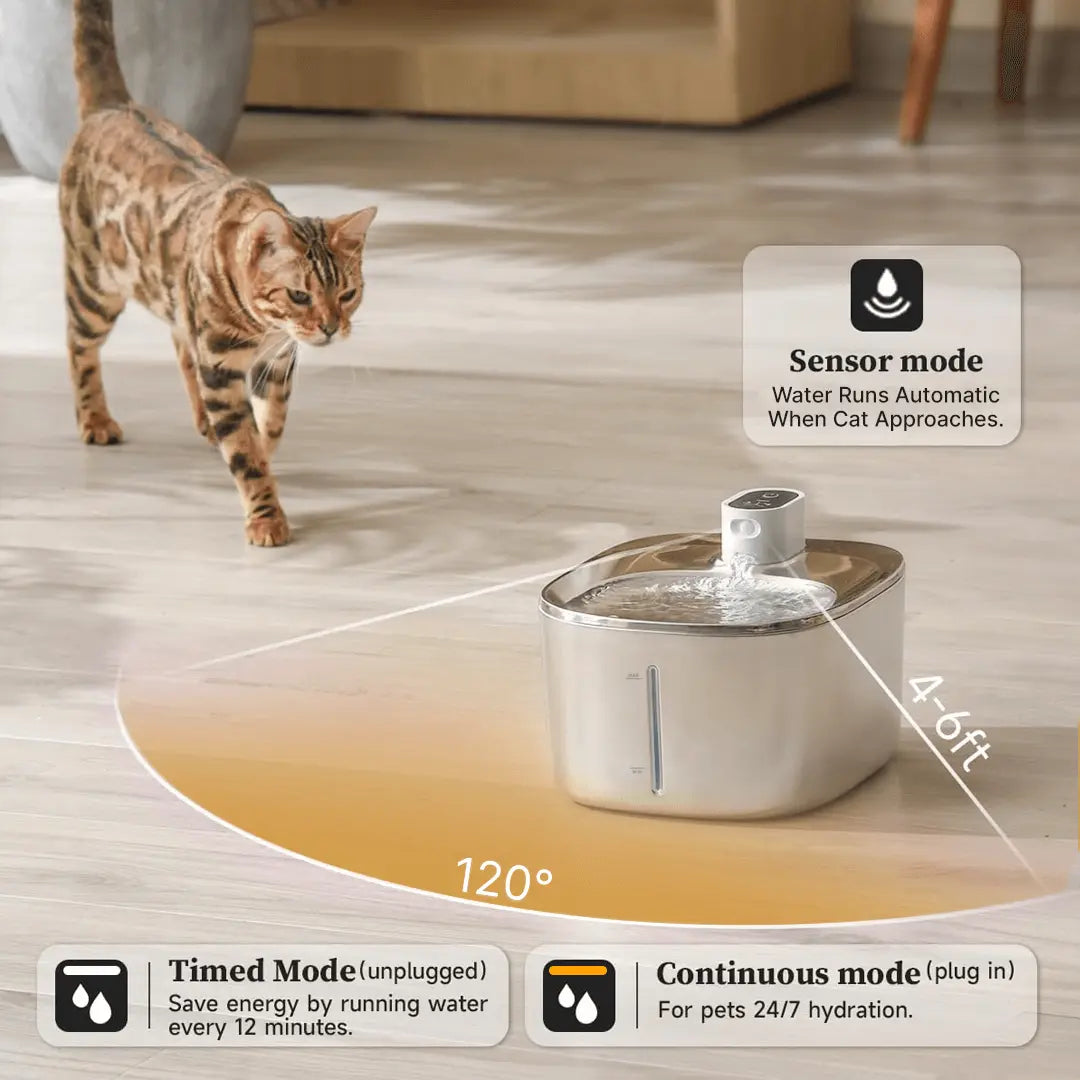 HealthyPaws™ - PureFlow Wireless Fountain