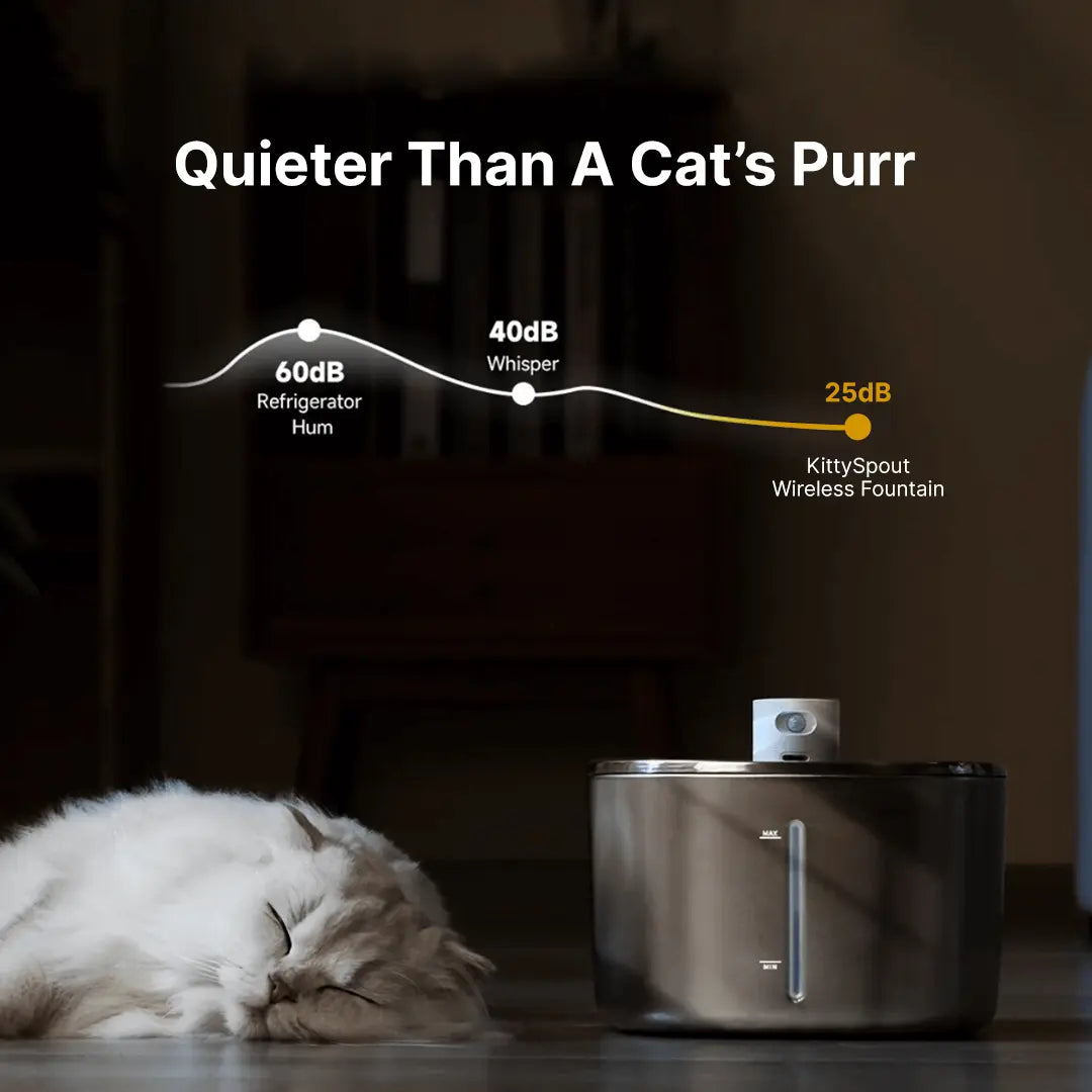 HealthyPaws™ - PureFlow Wireless Fountain